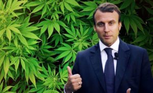 Франция и марихуана