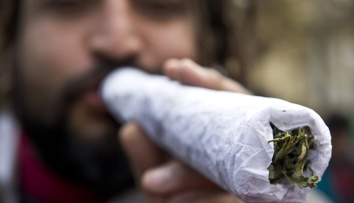 Научная статья о марихуане сколько стоит марихуана на россии